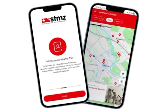 stmz Application Portfolio - Nautilus Techlabs